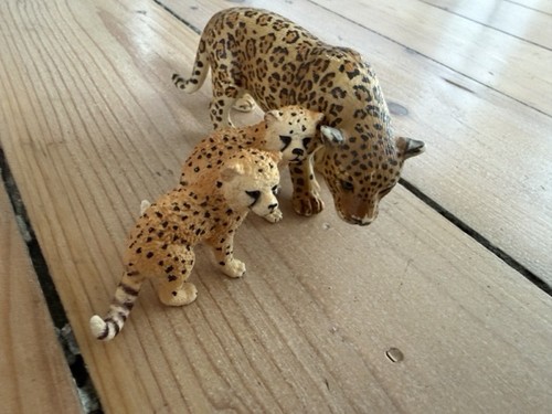 3er set leopard großkatzen - 3er,