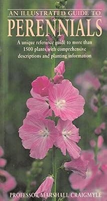Illustrated guide to - illustrated,