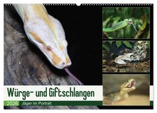 Würge- und Giftschlangen (Wandkalender 2026 DIN A2 quer), CALVENDO...
