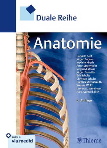 Duale reihe anatomie - duale,