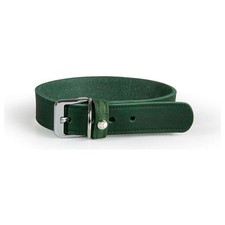 Das Lederband Hundehalsband
