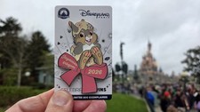 Disneyland Paris Pin Limited