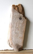 Treibholz Schwemmholz