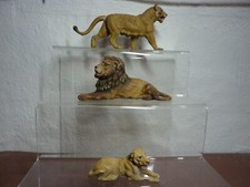 Löwenrudel von Lineol ca