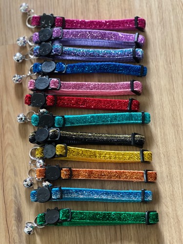 Halsband für katzen mit - für, katzen!