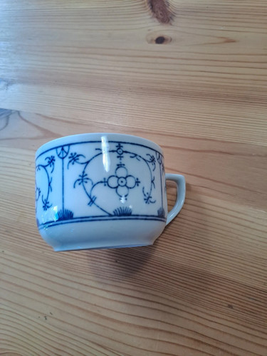Winterling indisch blau - winterling,