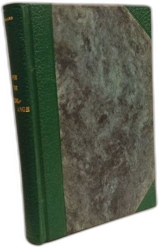 Michelangelos leben mit - michelangelos,