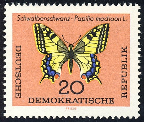 1006 schmetterlinge - 1006,