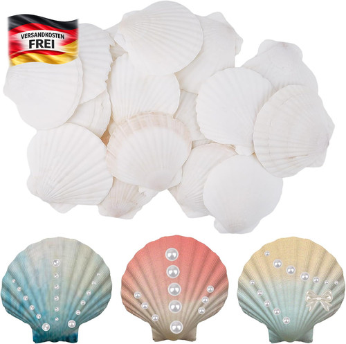 Große naturmuscheln für diy - für,