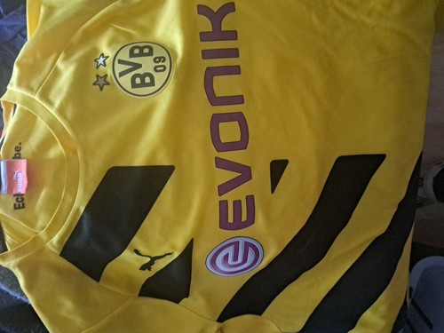 Borussia dortmund 2014 2015 - borussia,