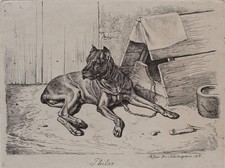 Johann Adam Klein Philax Hunde
