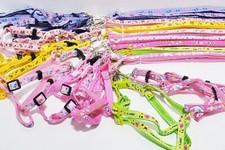 Geschirr Hundegeschirr mit