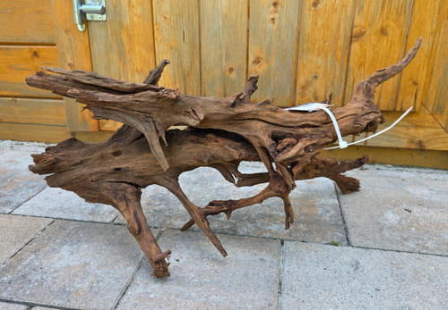 Mangroven wurzel 52x21x26cm - l,