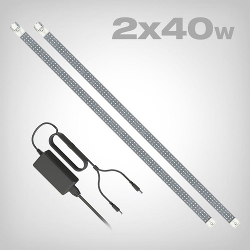Secret jardin cosmorrow led - jardin,