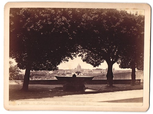 Fotografie sommer behles - sommer,