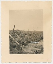 Foto Bunker / Unterstand