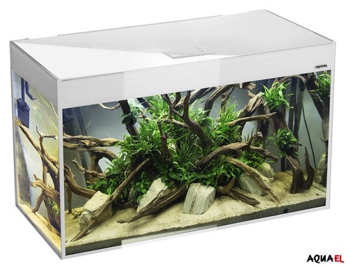 Aquael glossy 120 - aquael,
