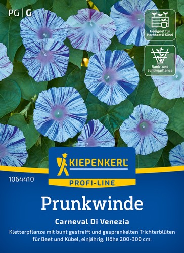 Prunkwinde carnevale di - *,