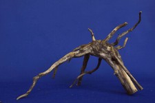 Aquarium Wurzel / Black Root *31cm* / Aquarium Deko / Aquascaping NEU! BL85