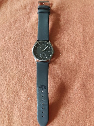 Skagen holst - skagen,