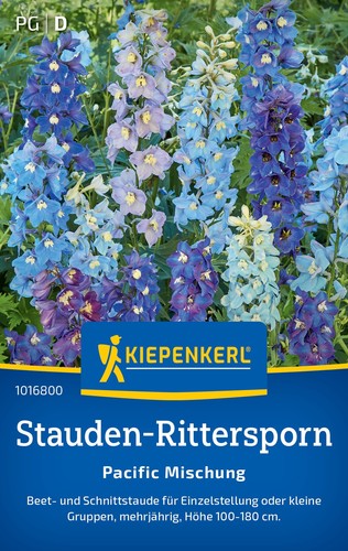 Stauden rittersporn - , "