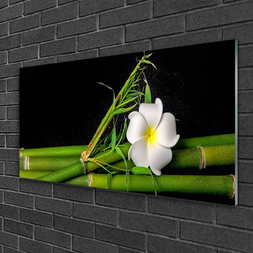 Acrylglasbilder 100x50