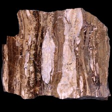 Rhodonit mit Tephrolit von Schävenholz bei Elbingerode im Harz