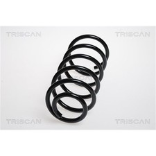 Triscan Feder hinten für Opel