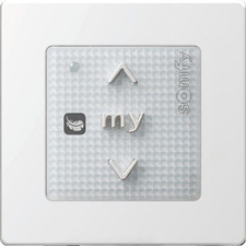 Somfy Smoove Origin RS100 io