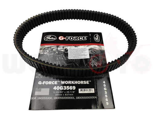 Antriebsriemen drive belt - , cf