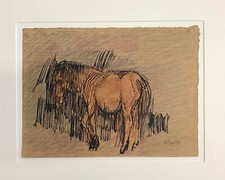 Wilhelm Rudolph, Pony, Pastell