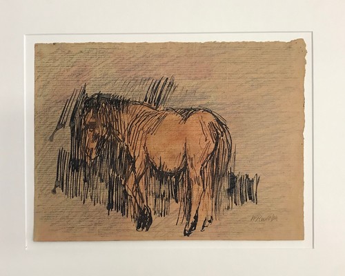 Wilhelm rudolph pony - pony,, pastell