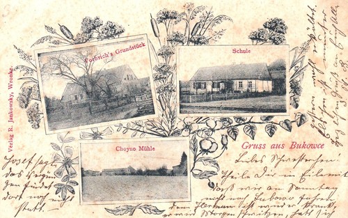 Bukowce treuenwalde 3 - ak,