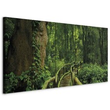 WALD NATUR LANDSCHAFT BRÜCKE