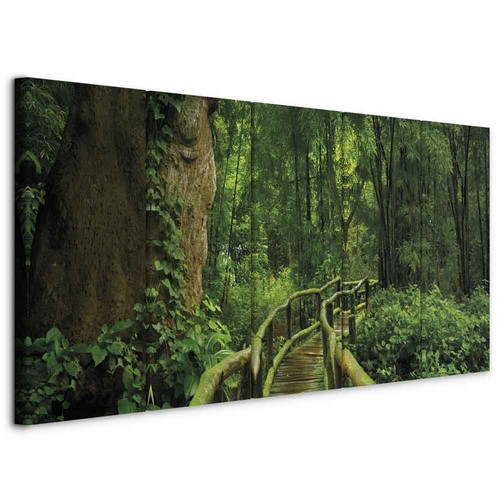 Wald natur landschaft - wald,