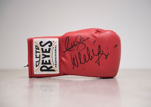 Anthony joshua wladimir - anthony,