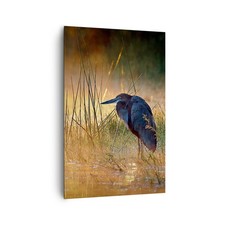 Wandbilder 80x120cm