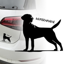 Labrador Retriever Auto