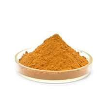 Rhabarberwurzel Extrakt