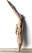 Treibholz Schwemmholz