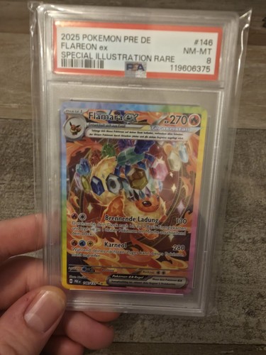 Pokémon flamara pre de - pokémon,