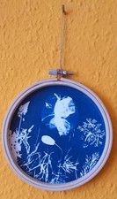 Wunderschöner Original Druck Bild Neu Cyanotypie Blaudruck 13 cm Holzrahmen Mohn