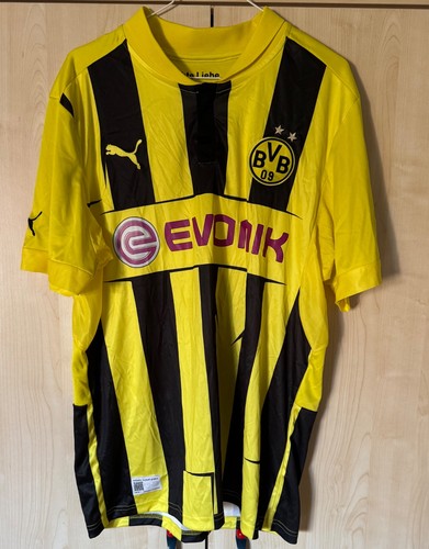 Robert lewandowski bvb - robert,