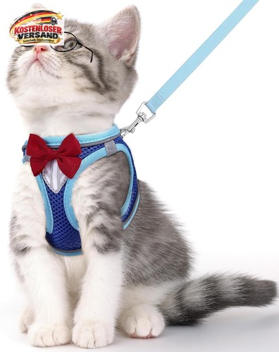 Katzengeschirr mit leine - katzengeschirr,