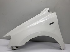 VW Polo 6R  Kotflügel vorne links Farbcode LB9A  (00)