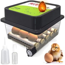 Brutautomat, Eierbrüter