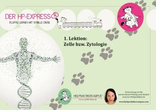 Express lernskript zur - hp,
