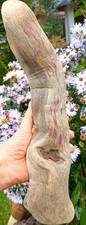 etwas lila,  gemasertes   Treibholz / Schwemmholz          36,5 x 9,5 x 6 cm