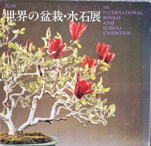 Bonsai 5th international - bonsai,