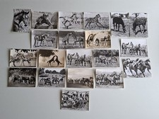 20 alte AK Pferdepostkarten